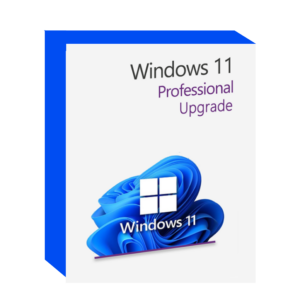 Windows 11 Upgrade