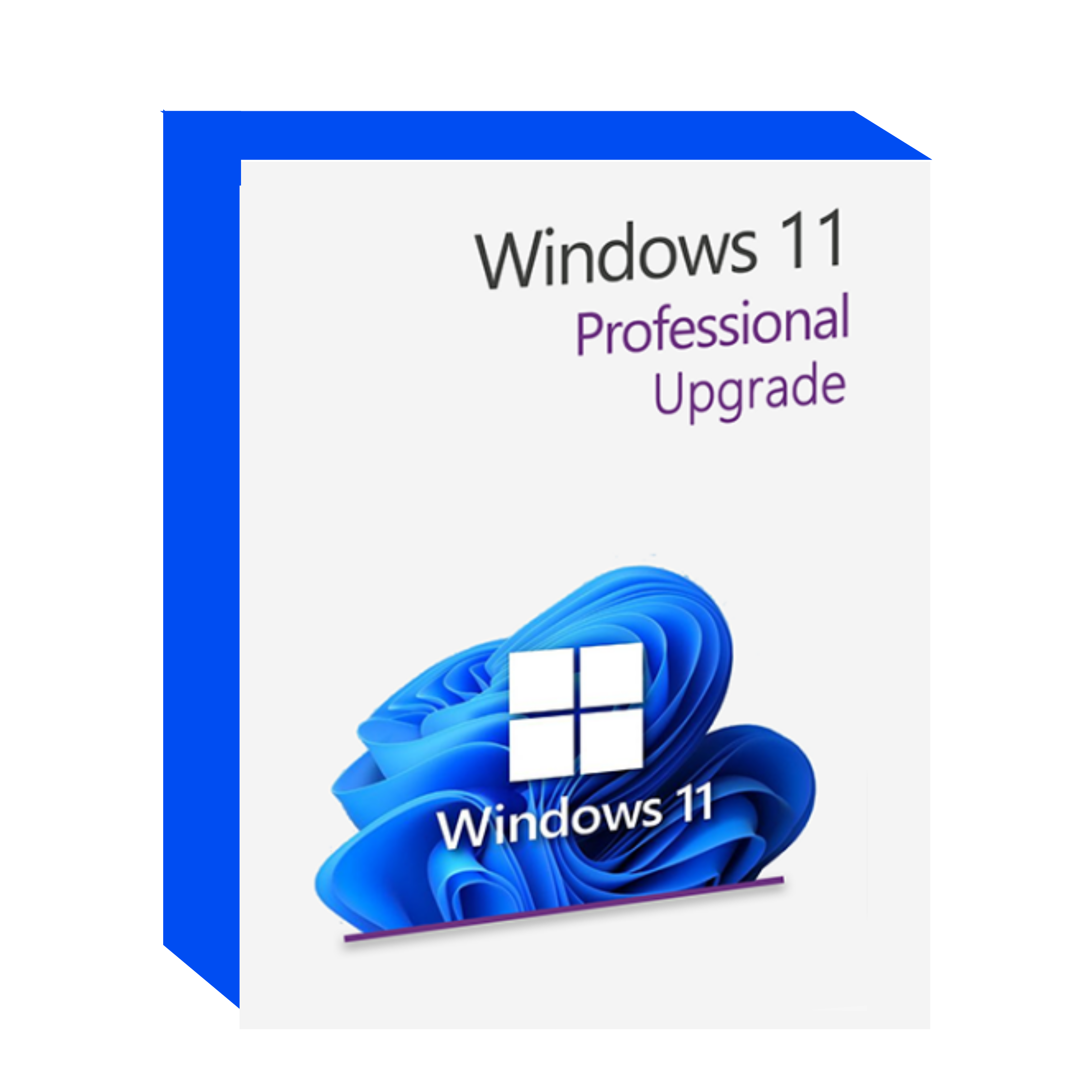 Windows 11 Upgrade