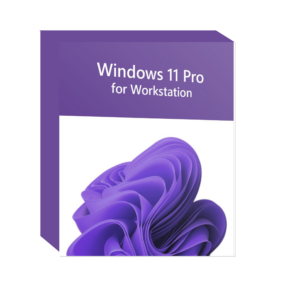 Windows 11 Pro for Workstation