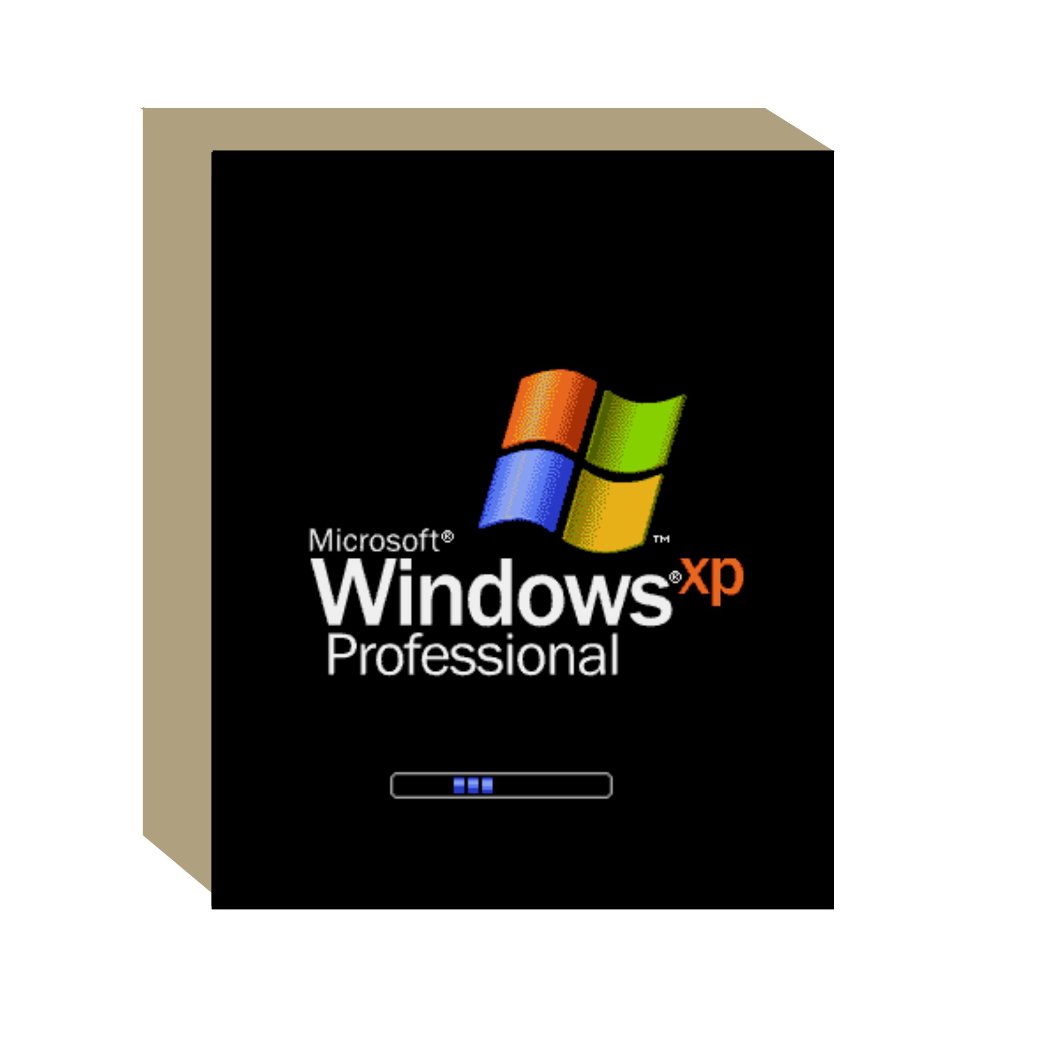 Windows XP Professional
