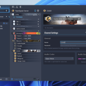 TeamSpeak